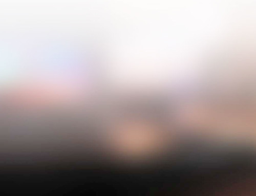 Donec At Mauris Enims